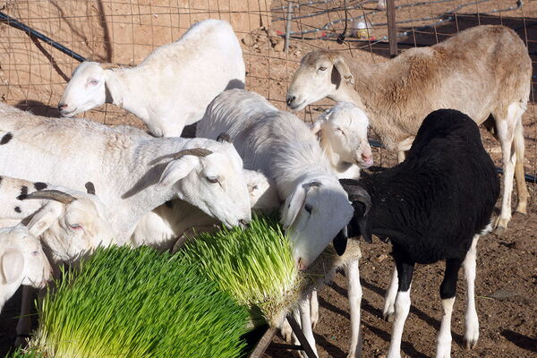 (c) Nina Schroeder/World Food Programme