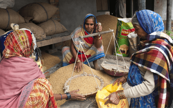 Frauen in Indien wiegen Getreide in einer Bank, um es in einen gelben Sack zu füllen.