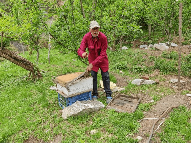 Ich bin ein Alternativtext