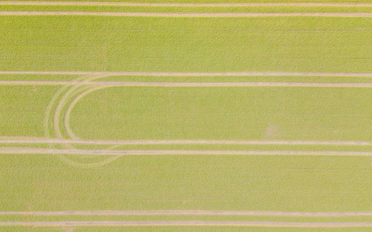 Luftaufnahme eines grünen Feldes mit parallelen Linien und einer leicht gebogenen Spur.