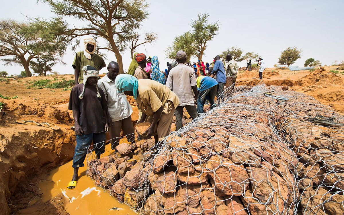 Menschen in Niger bauen während einer Dürre Barrieren aus Steinen, um den Boden zu stabilisieren.