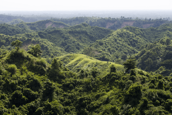 Üppig grüne Hügel erstrecken sich im Chunati Wildlife Reservat in Bangladesch unter einem sanften, dunstigen Himmel. | © GIZ