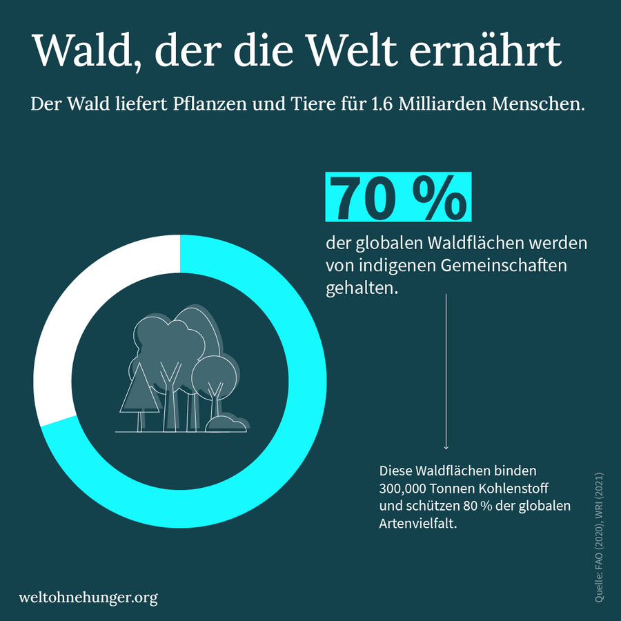Infografik zeigt, dass 70 % der globalen Waldflächen von indigenen Gemeinschaften gehalten werden.