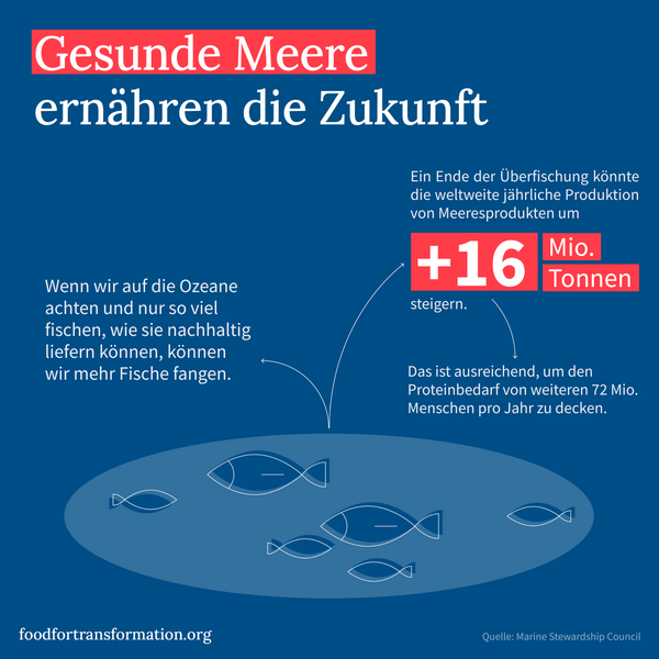 Ein Infografik-Design zeigt, wie gesunde Meere die Zukunft ernähren und die Fischproduktion um 16 Mio. Tonnen steigern können.