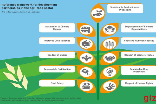 Infographic illustrating key criteria for agribusiness partnerships, including climate adaptation and sustainable production.