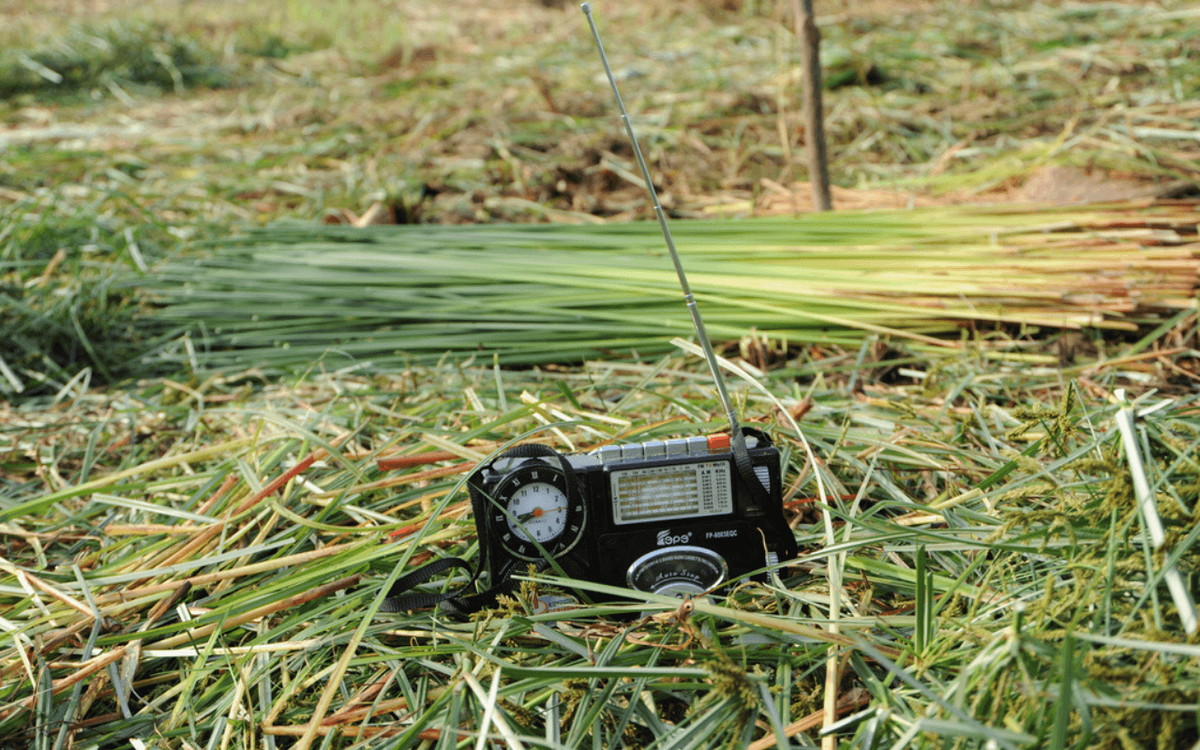 Ein tragbares Radio steht auf frisch geschnittenem Gras auf einem Feld, umgeben von gebündelten Pflanzenstängeln. | © GIZ Ursula Meissner
