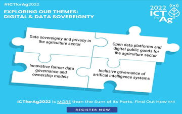 Quinoa könnte in Zentralasien ein riesiges Potenzial haben, wo das Aralseebecken besonders stark von der Versalzung betroffen ist. Foto: ICBA