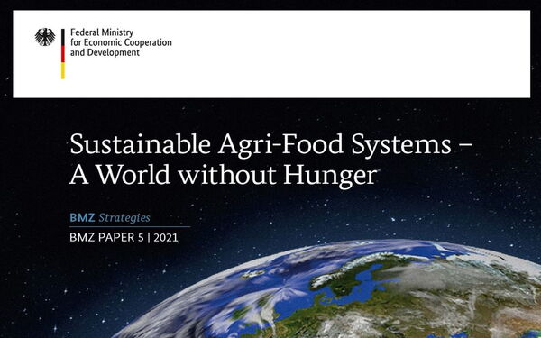 The image shows a BMZ publication cover on sustainable agri-food systems with Earth and a focus on ending hunger.