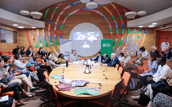 Teilnehmer einer UNFSS-Veranstaltung diskutieren um einen großen runden Tisch in einem kreativ gestalteten Raum.