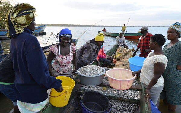 Menschen sortieren frischen Fisch in Booten am See, während Fischer im Hintergrund arbeiten.