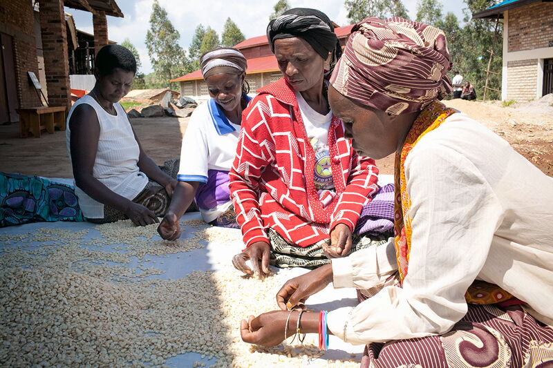 Ich bin ein Alternativtext