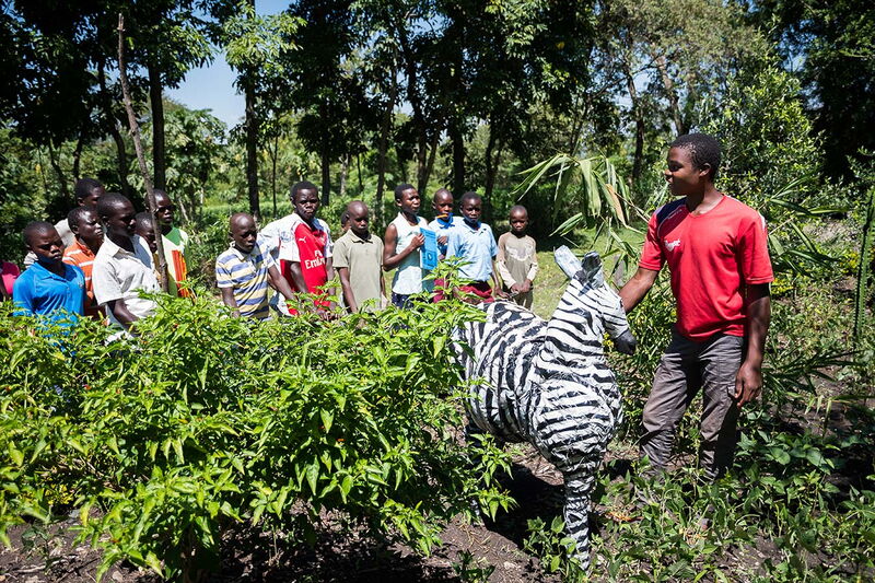 Eine Gruppe von Menschen versammelt sich um eine Zebrafigur in einem grünen Garten für eine Präsentation.