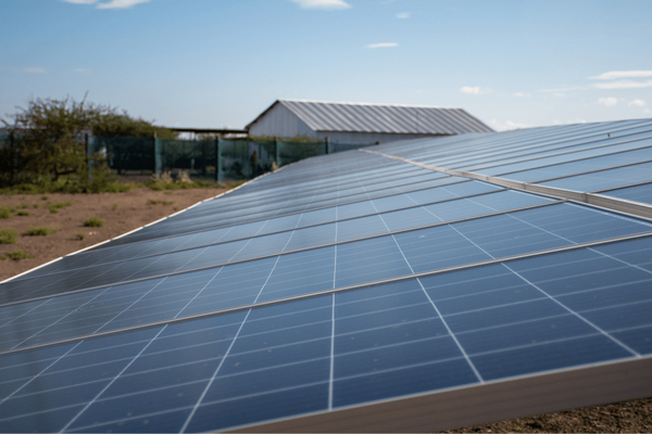 In einer ländlichen Umgebung stehen Solarpaneele unter blauem Himmel zur Gewinnung erneuerbarer Energie.