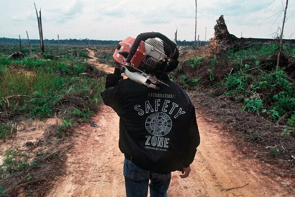 Indonesien / Borneo, März 2000: Nördlich von Palangkaraya liegen inmitten der verwüsteten Landschaft die Basislager illegaler Holzfäller.(c) Christoph Püschner/Zeitenspiegel