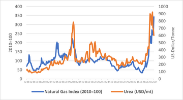 Ich bin ein Alternativtext