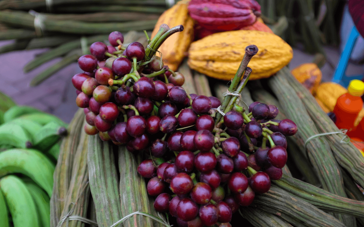 Ein bunter Markttisch in Ecuador zeigt frische Früchte und Kakaobohnen in lebendigen Farben. | © GIZ Giacomo Rubini