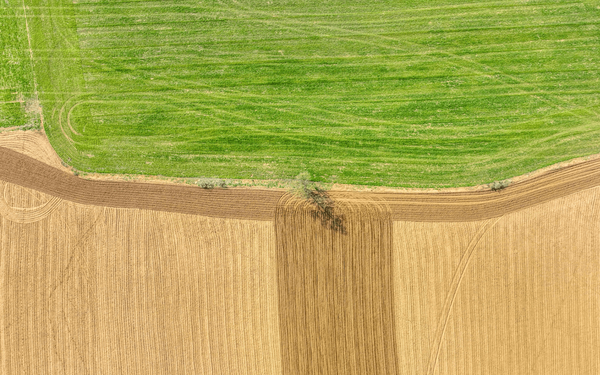 Luftaufnahme eines grünen und braunen Feldes, das von einem schmalen Streifen getrennt wird. | © Jaum Jovell