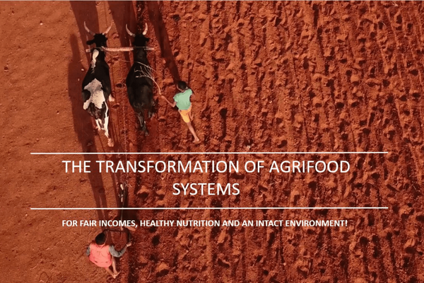 Aerial view of two people guiding oxen across a red, plowed field, highlighting agrifood transformation themes.