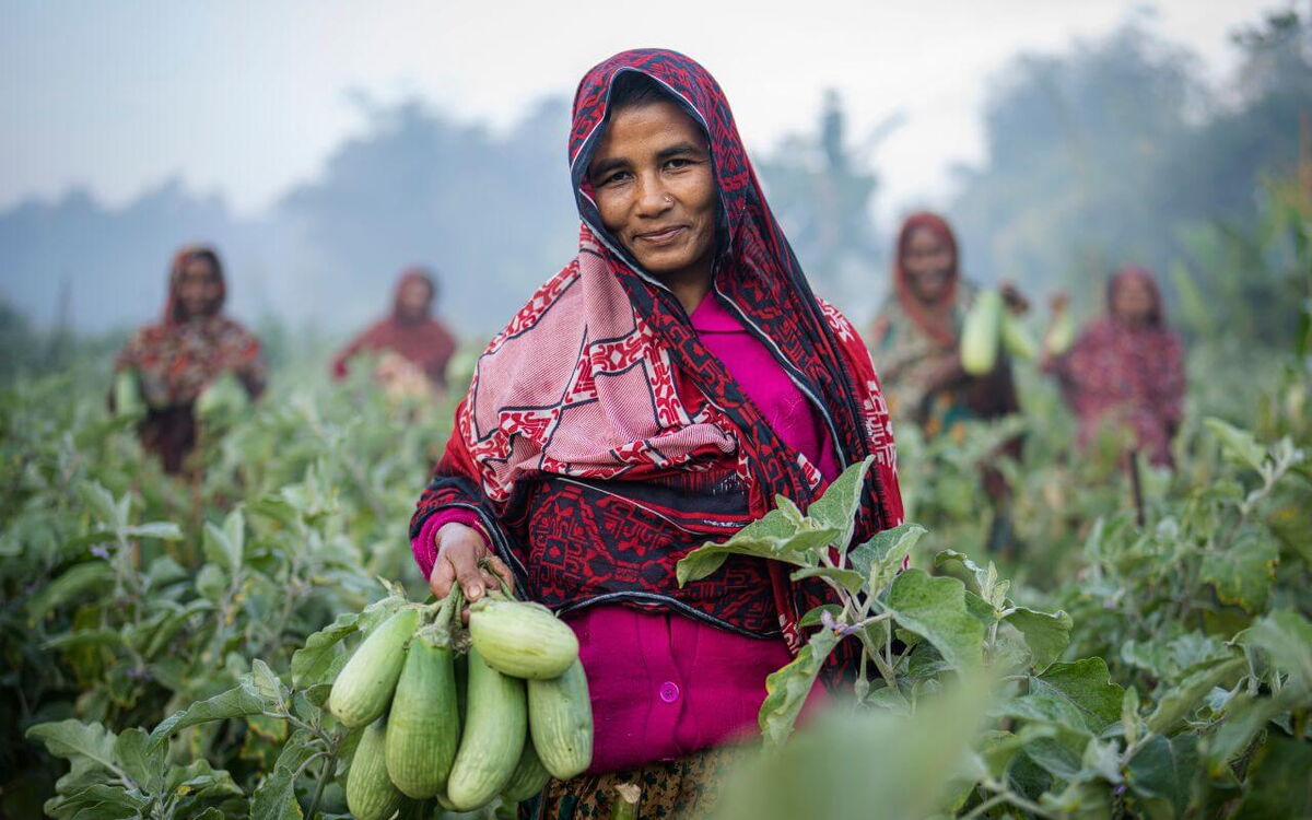 Eine Frau in traditioneller Kleidung hält frisch geerntete Auberginen auf einem Feld, umgeben von anderen Erntehelferinnen.
