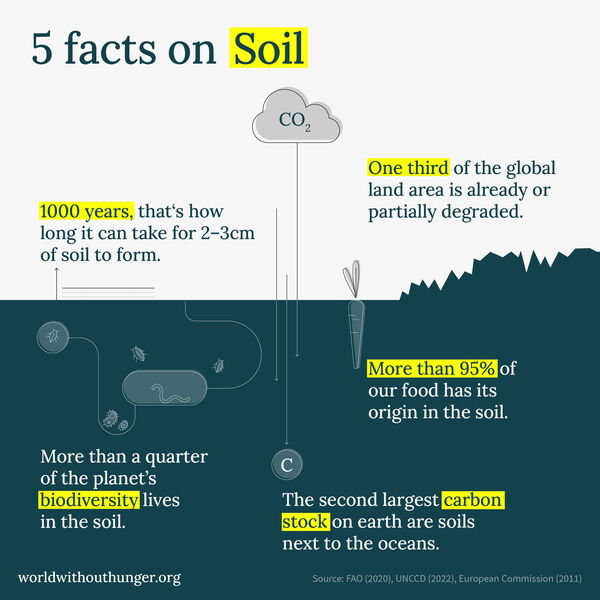 Infographic titled "5 Facts on Soil" highlights soil formation, degradation, biodiversity, carbon stock, and food origin.