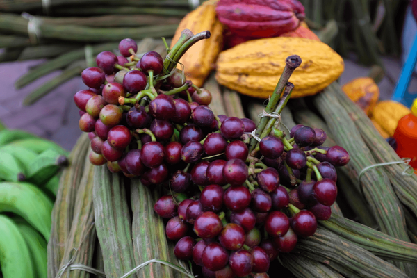 Ein bunter Markttisch in Ecuador zeigt frische Früchte und Kakaobohnen in lebendigen Farben. | © GIZ Giacomo Rubini
