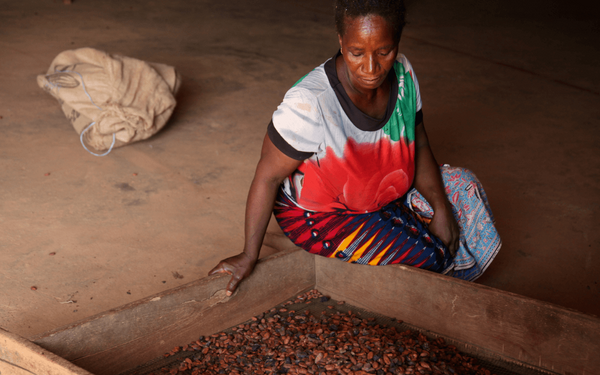 A woman sorts cocoa beans in a wooden tray, wearing a colorful floral shirt and traditional patterned skirt.