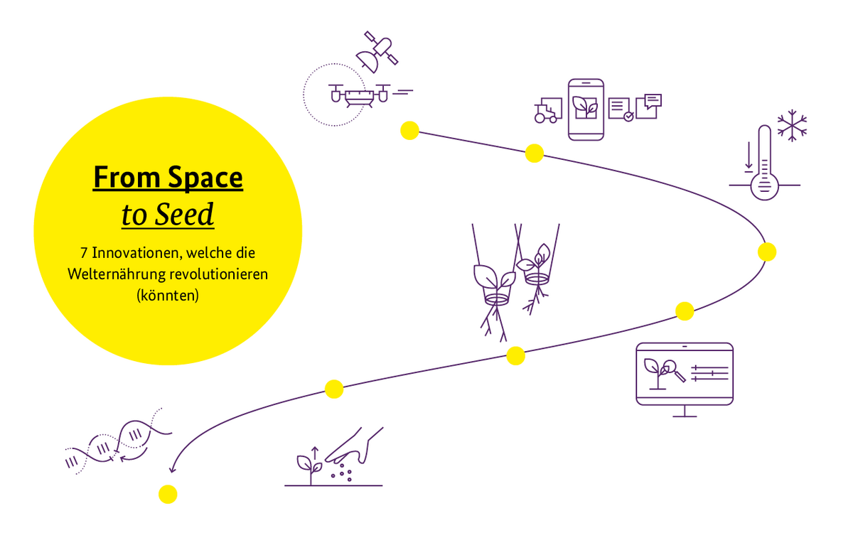 Eine Infografik zeigt den Weg von Innovationen in der Welternährung mit Symbolen für Technologie und Landwirtschaft.