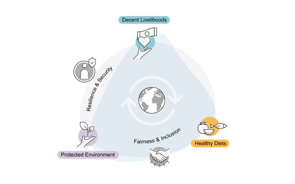 A diagram illustrates the concepts of decent livelihoods, resilience, protected environment, fairness, and healthy diets globally.
