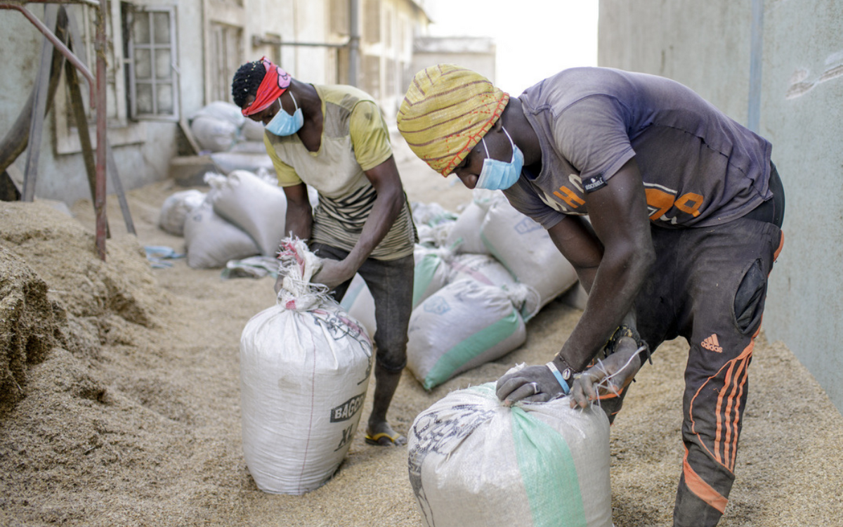 Zwei Männer packen in einer landwirtschaftlichen Szene säckeweise Weizen, während sie Schutzmasken tragen.