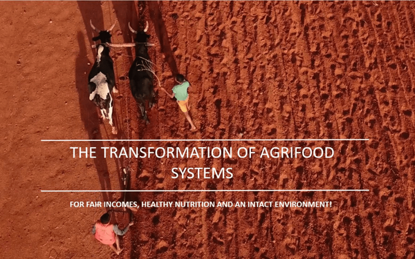 Aerial view of two people guiding oxen across a red, plowed field, highlighting agrifood transformation themes.