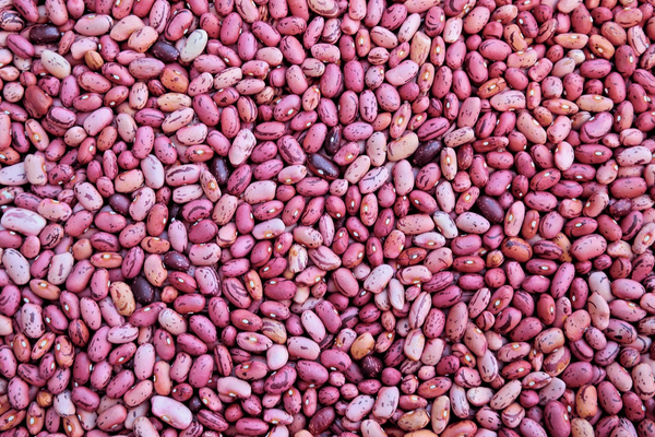 Viele rosa und lila gesprenkelte Bohnen liegen dicht beieinander und bilden ein abwechslungsreiches Muster.