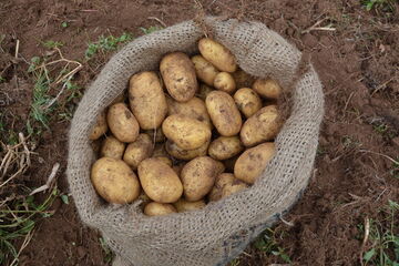 Ich bin ein Alternativtext