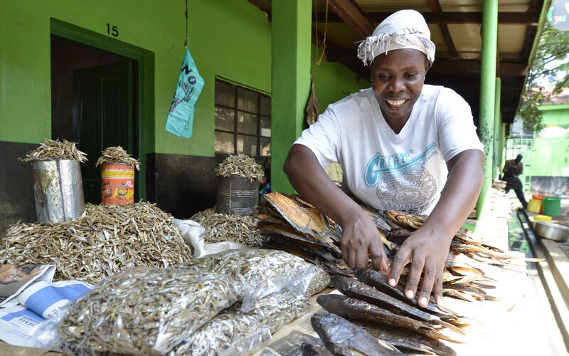 A woman with a headscarf joyfully organizes dried fish at a bustling market stall, showcasing a variety of seafood.