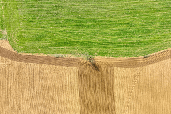 Luftaufnahme eines grünen und braunen Feldes, das von einem schmalen Streifen getrennt wird. | © Jaum Jovell