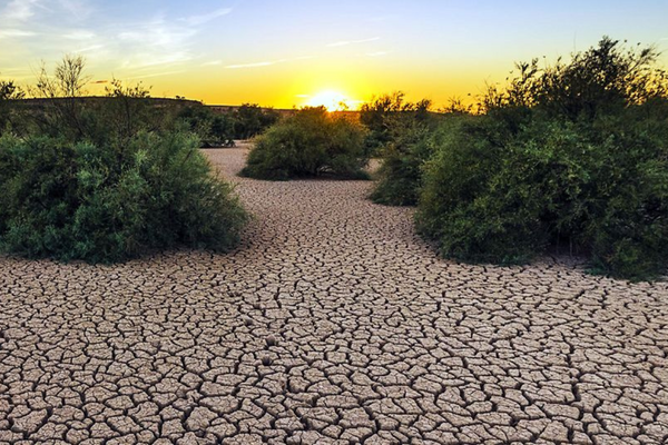 Risse durchziehen den trockenen Boden einer Landschaft bei Sonnenuntergang, umgeben von spärlicher Vegetation in der Dürre.