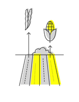 A stylized black and yellow illustration features abstract shapes resembling a person and a plant, symbolizing climate awareness.