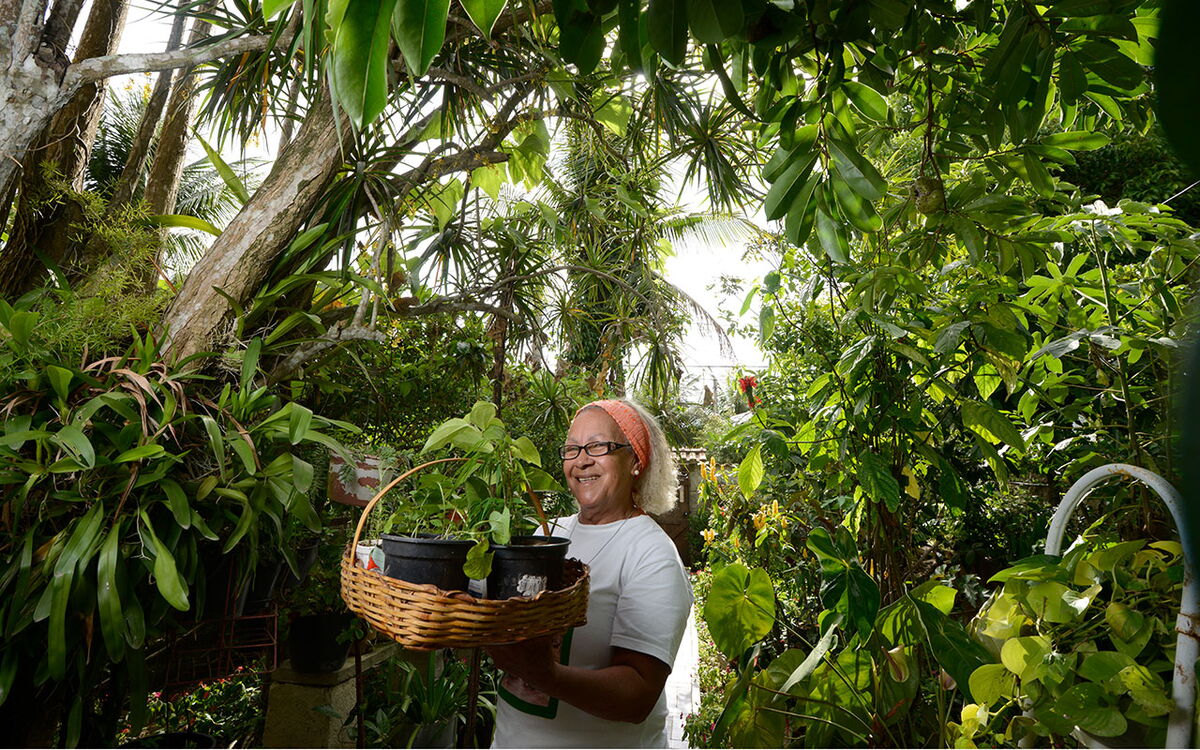 Eine lächelnde Frau trägt einen Korb voller Pflanzen durch einen üppigen, grünen Garten.