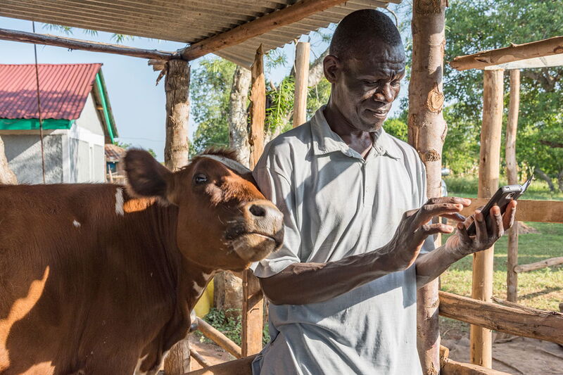 Ich bin ein Alternativtext