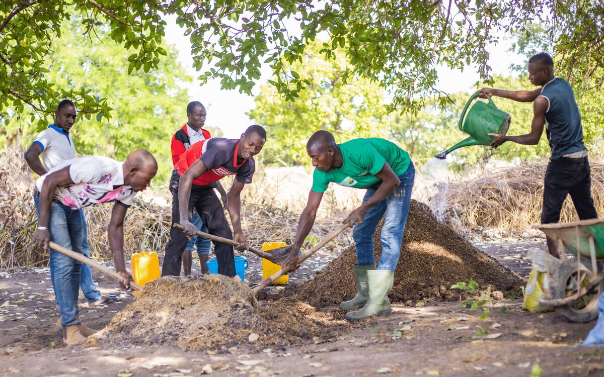 Eine Gruppe von Männern arbeitet gemeinsam an einem Komposthaufen unter einem Baum und gießt ihn mit Wasser.