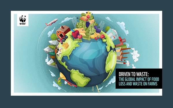 Eine stilisierte Erdkugel zeigt Lebensmittelverschwendung auf Bauernhöfen mit einem Flugzeug und Bauernhof im Hintergrund.