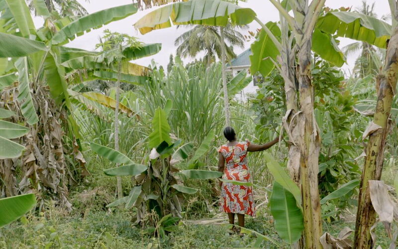 © GIZ / Johannes Funk