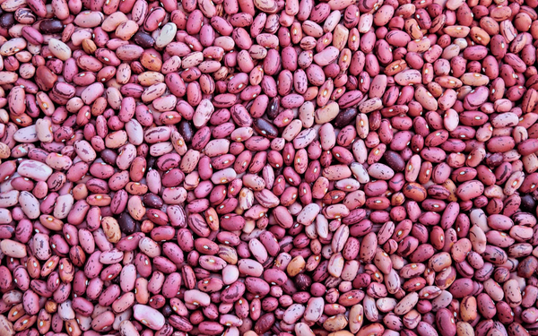 Viele rosa und lila gesprenkelte Bohnen liegen dicht beieinander und bilden ein abwechslungsreiches Muster.