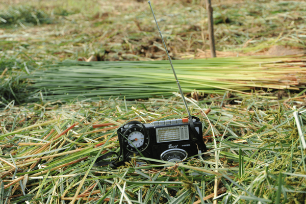 Ein tragbares Radio steht auf frisch geschnittenem Gras auf einem Feld, umgeben von gebündelten Pflanzenstängeln. | © GIZ Ursula Meissner