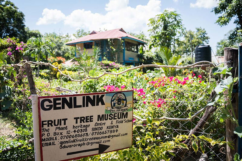 Ein Schild des Genlink Fruit Tree Museums steht vor einem blühenden Garten und einem traditionellen Haus in Kenia.