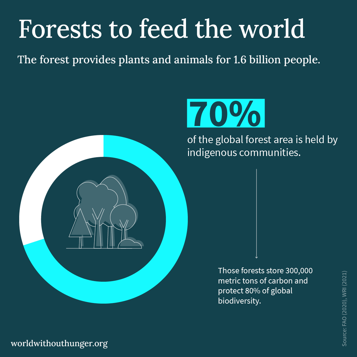 Infographic highlights that 70% of forests are managed by indigenous communities, supporting 1.6 billion people globally.