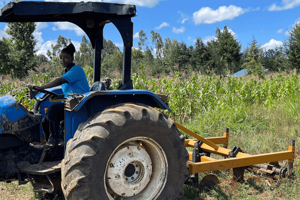 Eine Person fährt einen blauen Traktor auf einem Feld unter blauem Himmel und bereitet den Boden vor.