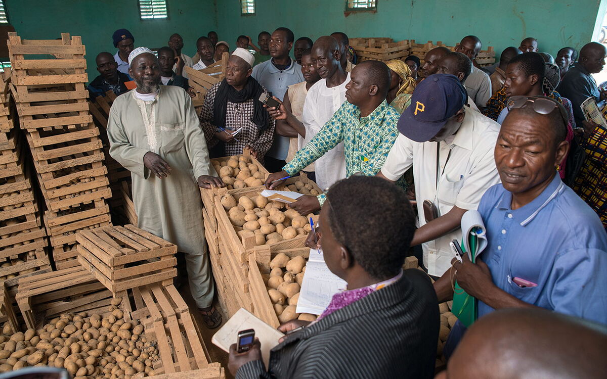 Eine Gruppe von Männern versammelt sich um Kisten mit Kartoffeln, während sie Notizen machen und diskutieren.