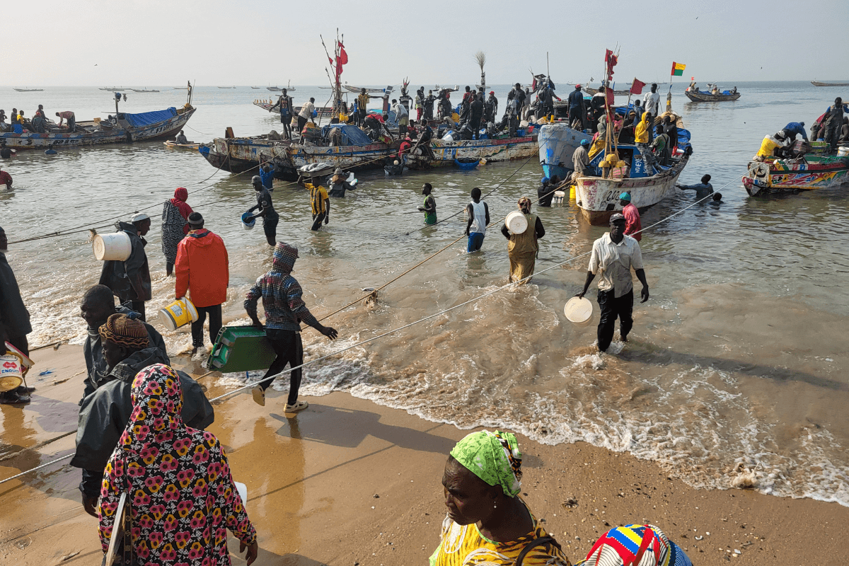 Kleinfischerei (wie hier im Senegal) ist das Rückgrat der Ernährungssicherheit und der wirtschaftlichen Existenzgrundlage von Millionen Menschen in Afrika und weltweit. © GEOMAR / Arne Körtzinger