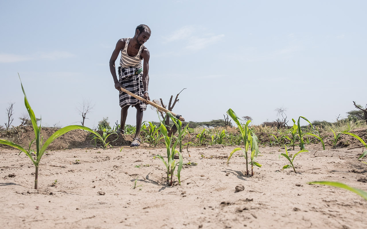 Umweltgrundlagen für Lebensmittelsicherheit schaffen. © Rainer Kwiotek