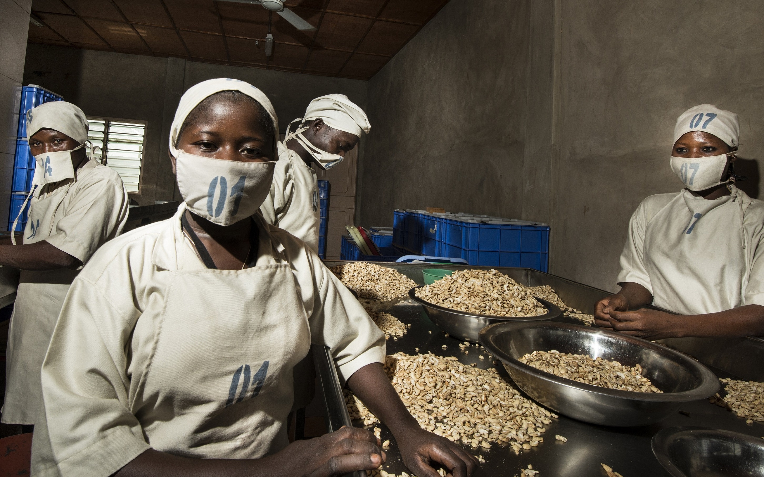 The covid-19 pandemic further highlights the vulnerability of global supply chains, such as cashew production in West Africa. © Michael Drexler, GIZ